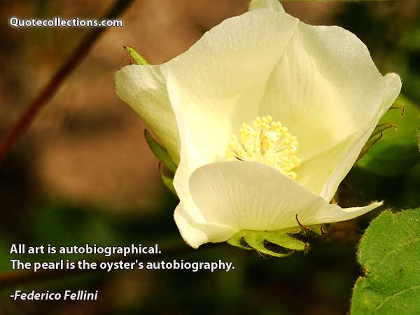 Federico Fellini Quotes3